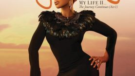 artworks-000014289731-4rf6bi-t500x500