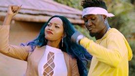 Asipolo – Shidy Stylo & Spice Diana (2017)