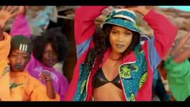 Bajikona – Spice Diana (2019)