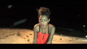 I Miss You – Spice Diana (2016)