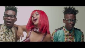 NJABALA – B2C AND SPICE DIANA (2017)