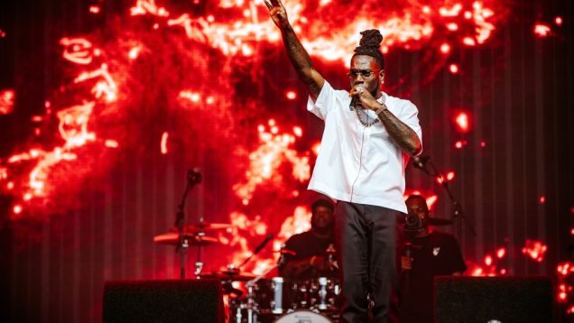 52301427429_21b3d5543e_o