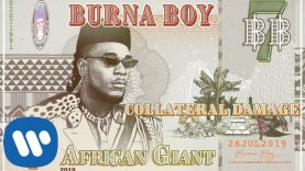 Collateral Damage – Burna Boy