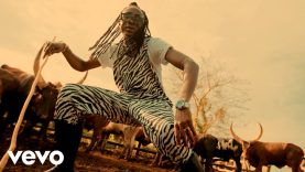 Ensolo – Ziza Bafana (2022)