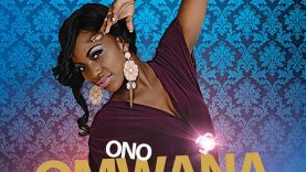 howwebiz_a1ed82317abffe48ca4e6e1cebd475cf_1416637112_cover