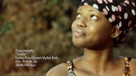 Viola – Geosteady (2013)