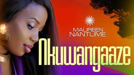 djerycomDOTcom_27c8ecaa6022f4c3fba04e270833cdbd_1557779652_cover