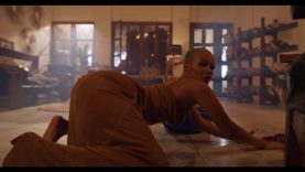 Harmonize – Amelowa (2022)