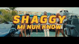 “Mi Nuh Know” – Shaggy (2022)