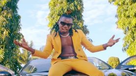 SIVAWO – Vyper Ranking (2020)