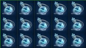 SpinPanda Casino bonus code: De complete gids voor jouw registratie