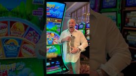 5gringos Erfahrungen: Der große Support-Check und Casino-Test 2024